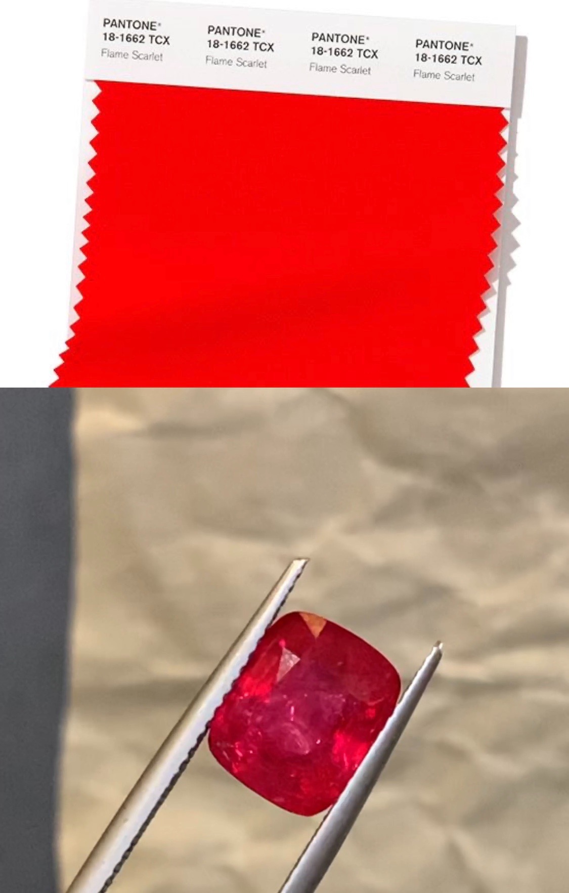 Pantone Trend Colors SPRING SUMMER 2020 NYFW