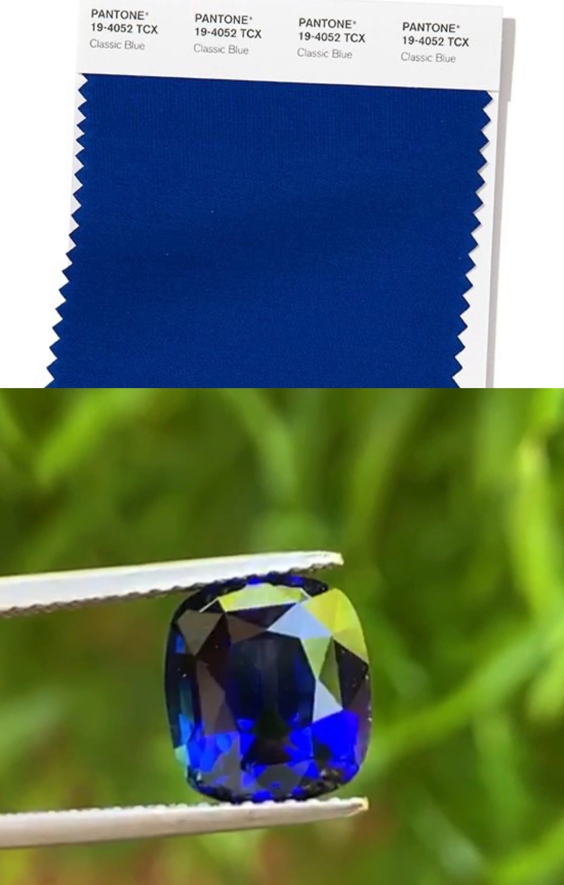 Pantone Trend Colors SPRING SUMMER 2020 NYFW