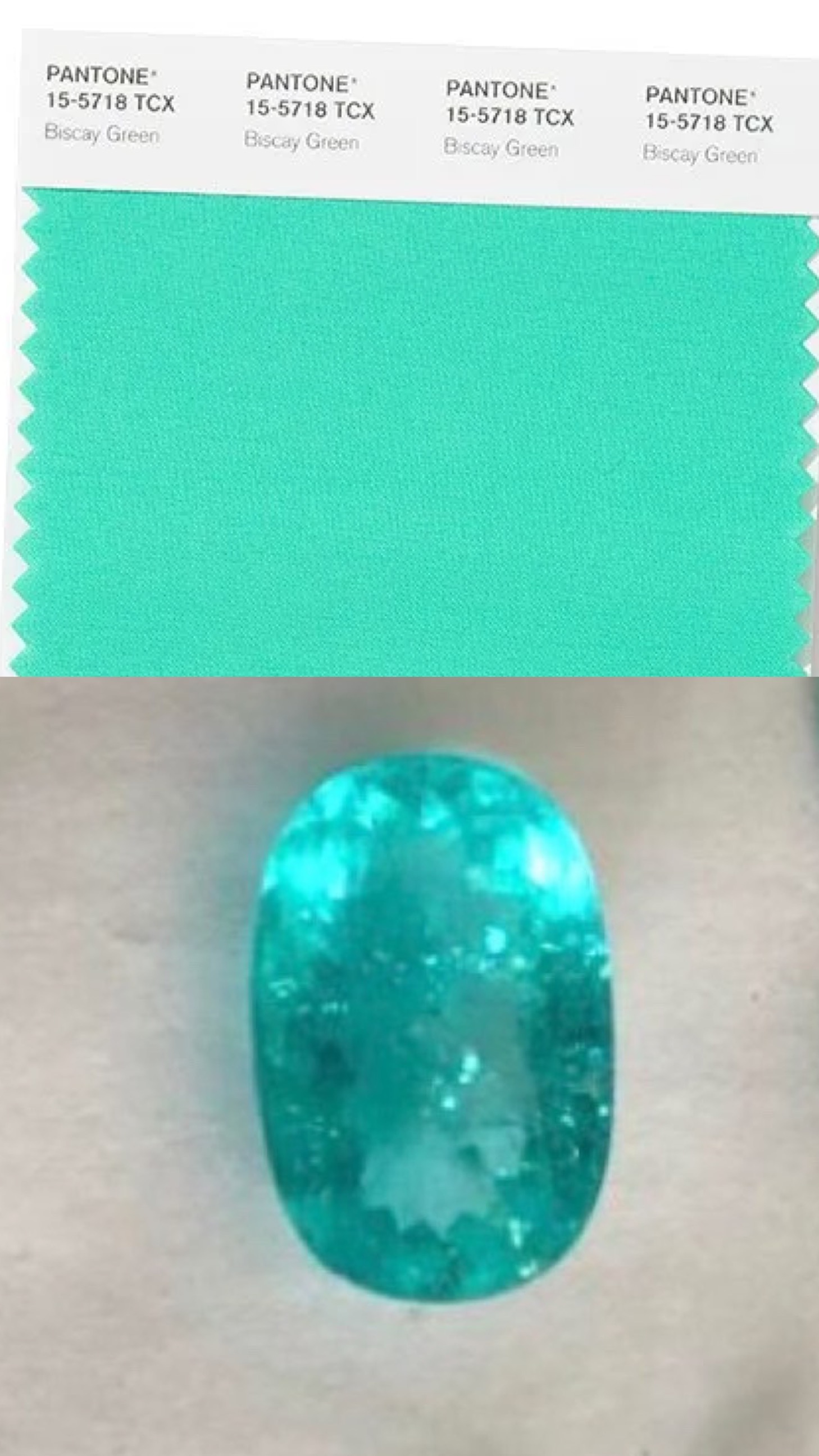 Pantone Trend Colors SPRING SUMMER 2020 NYFW