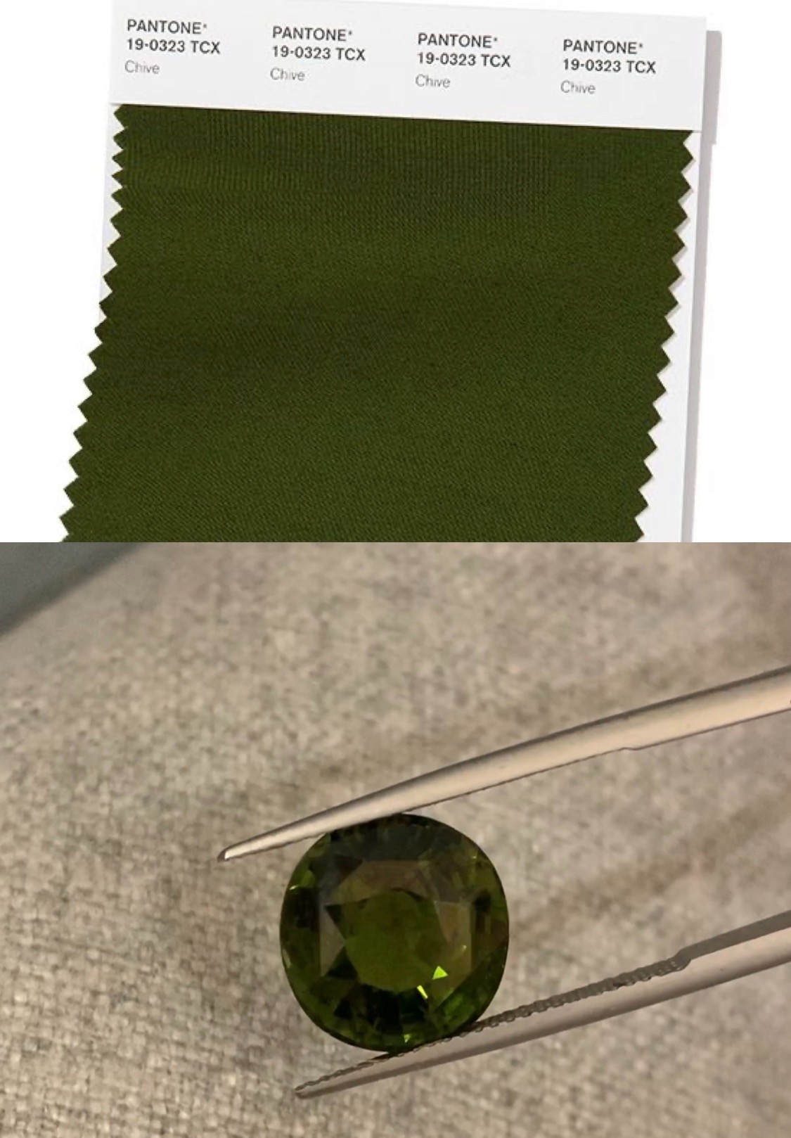 Pantone Trend Colors SPRING SUMMER 2020 NYFW