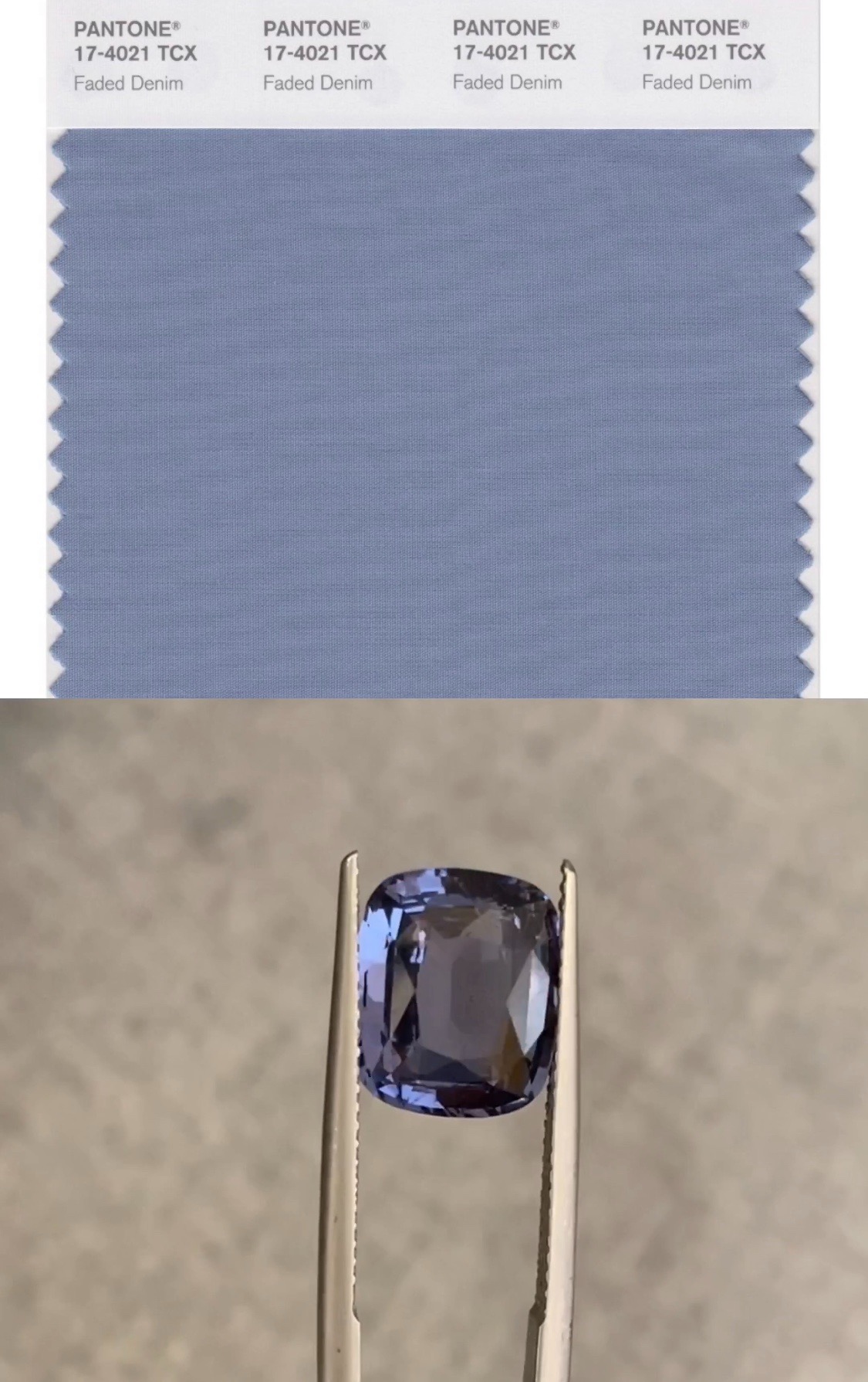 Pantone Trend Colors SPRING SUMMER 2020 NYFW