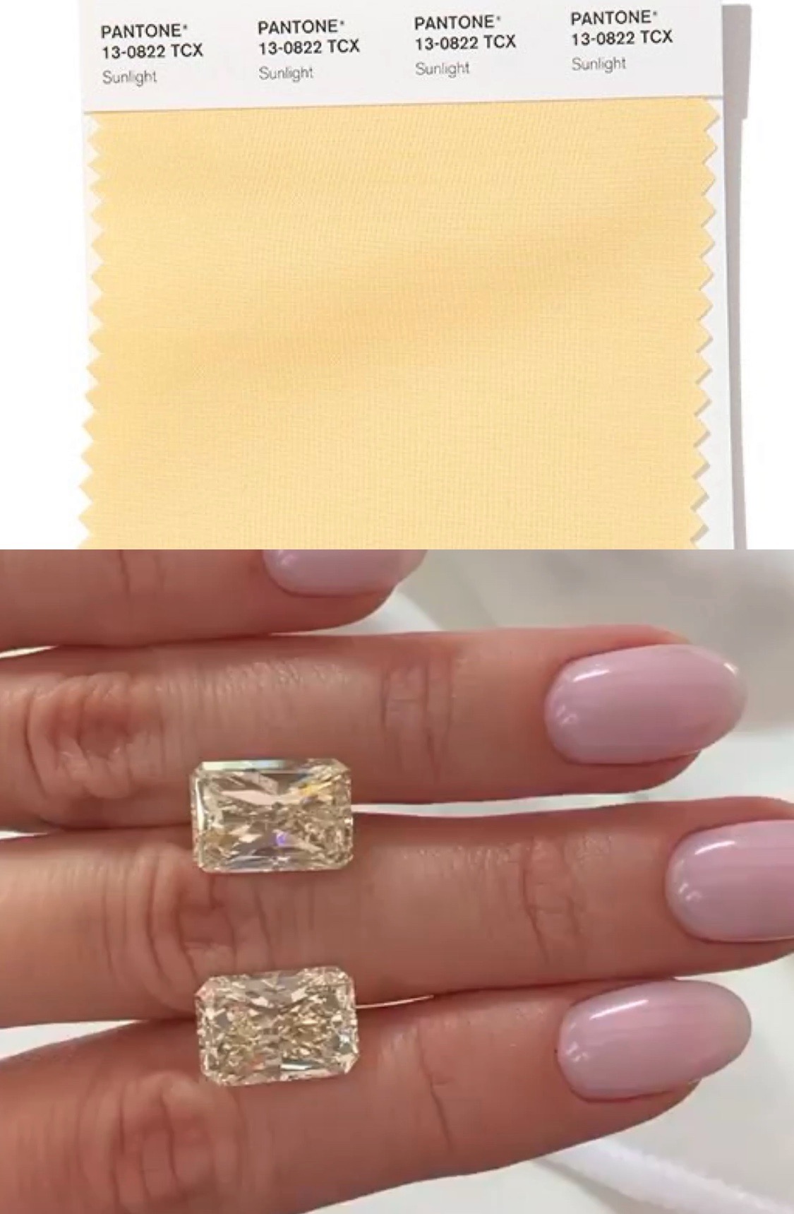Pantone Trend Colors SPRING SUMMER 2020 NYFW