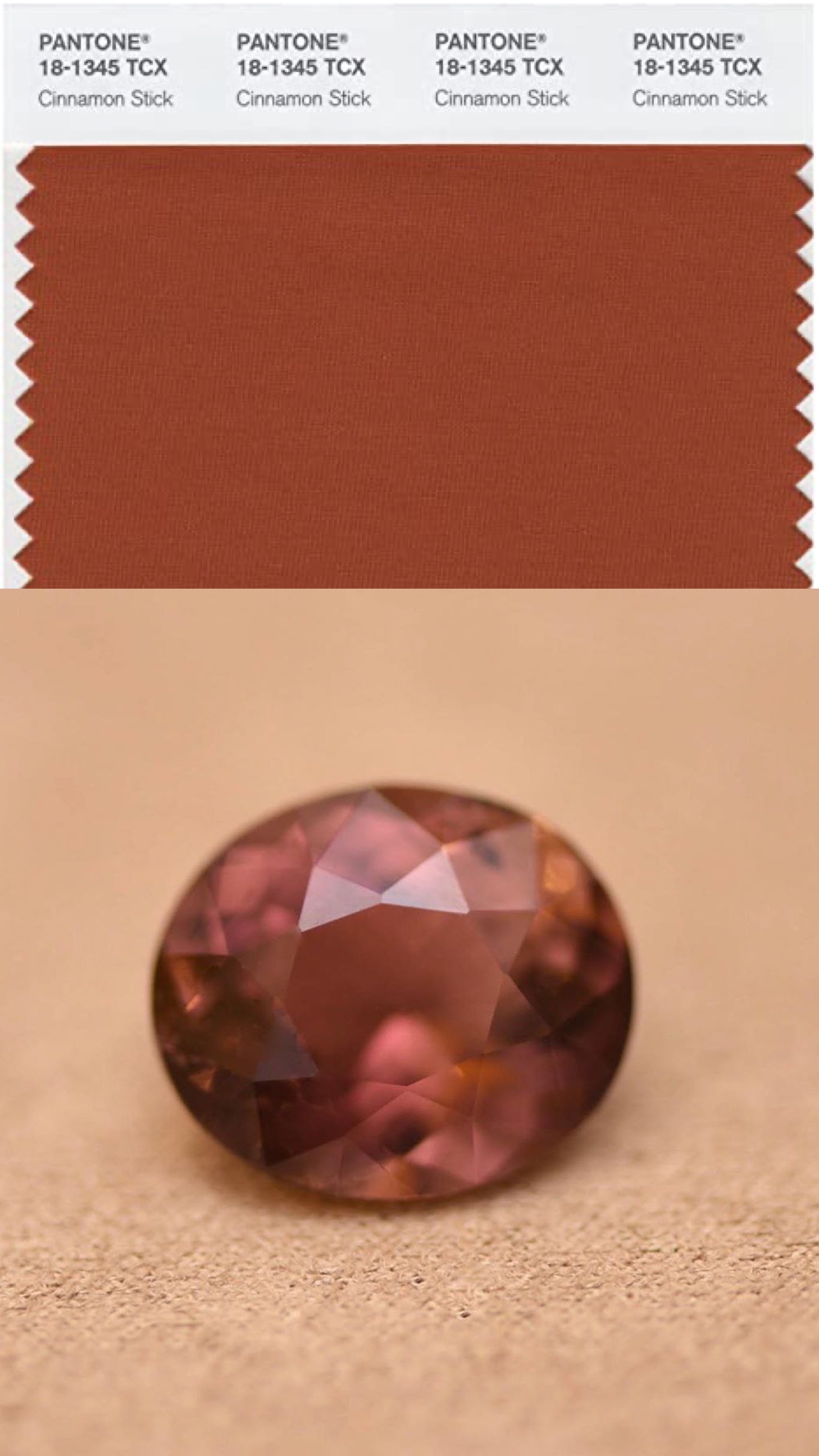 Pantone Trend Colors SPRING SUMMER 2020 NYFW