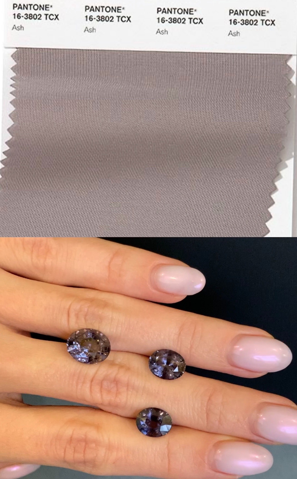 Pantone Trend Colors SPRING SUMMER 2020 NYFW