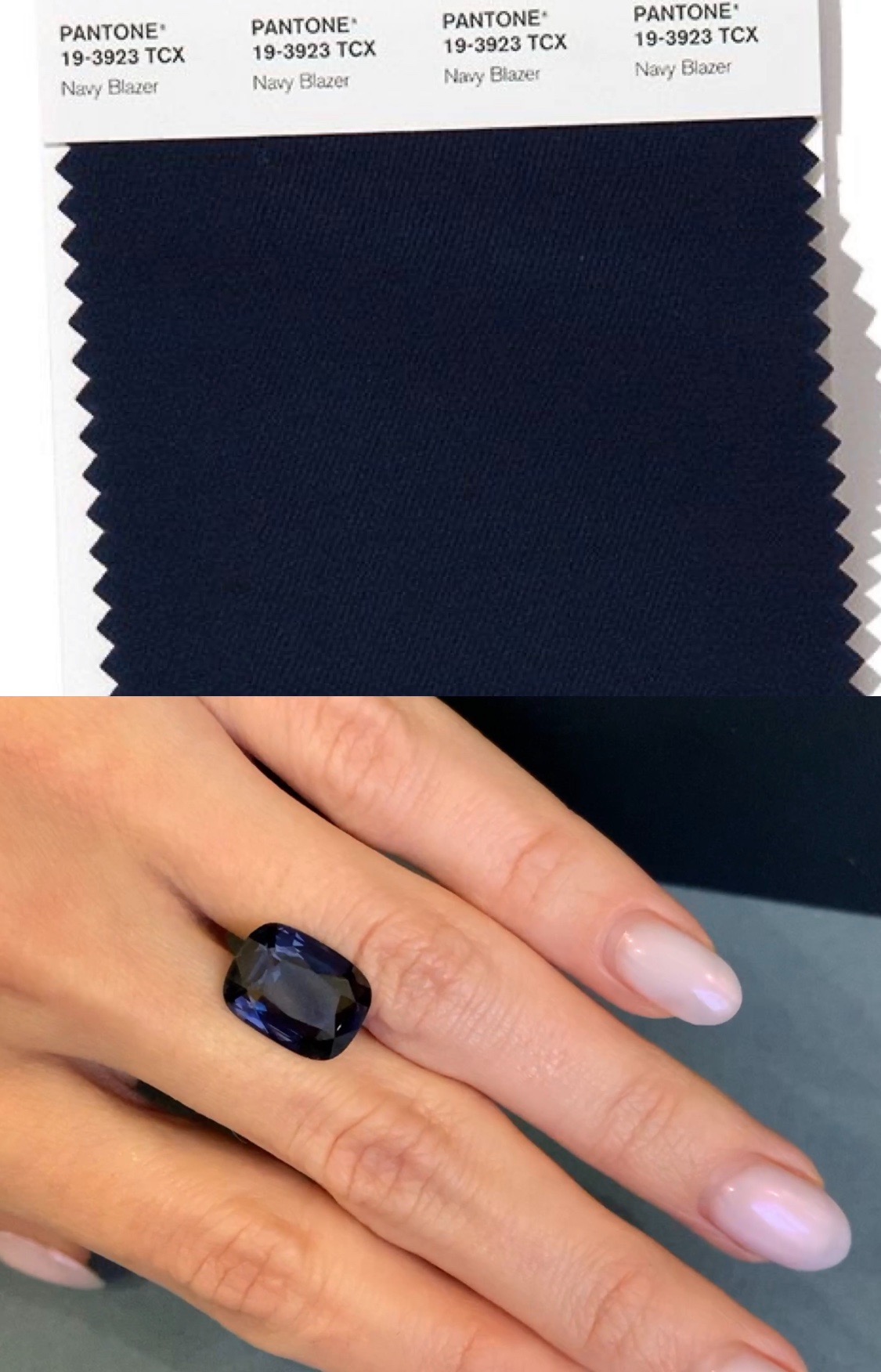Pantone Trend Colors SPRING SUMMER 2020 NYFW