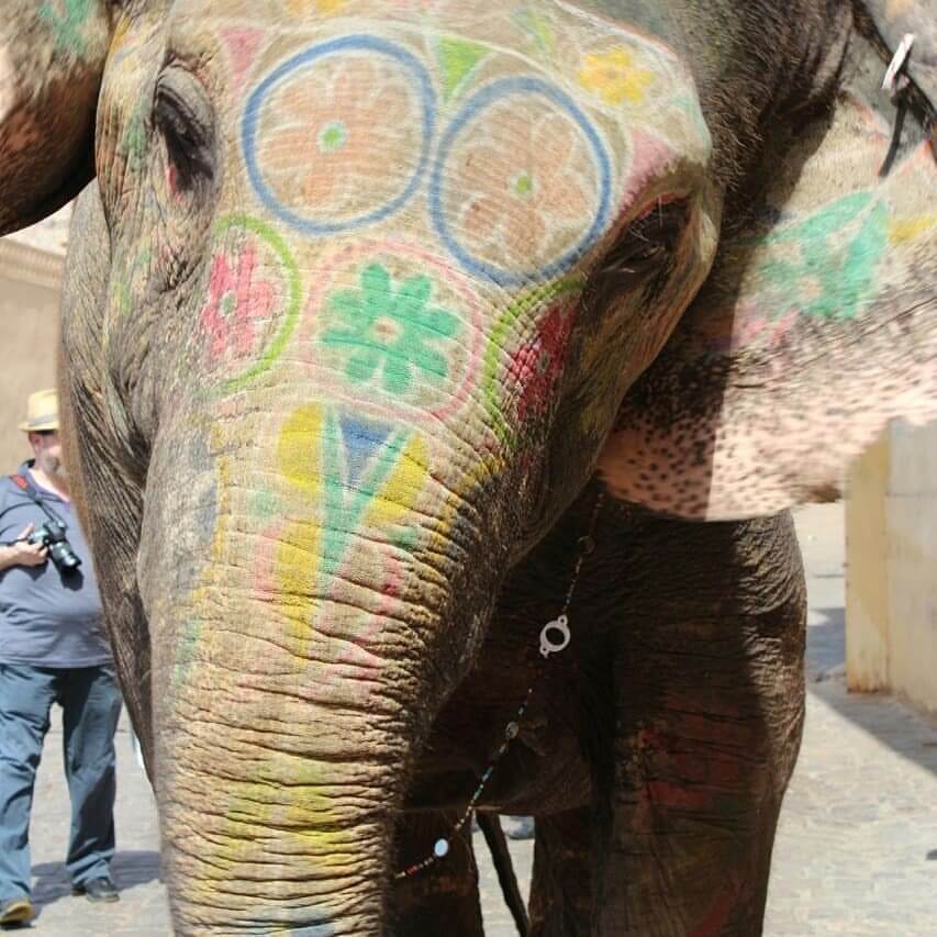 Our trip to Jaipur, India